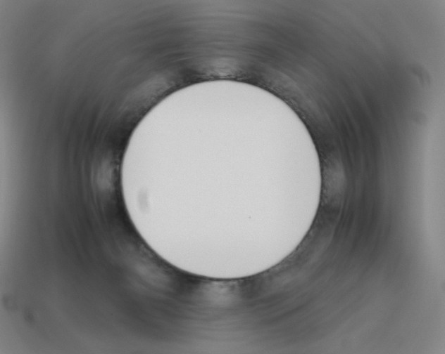 X0000112750126200910011203