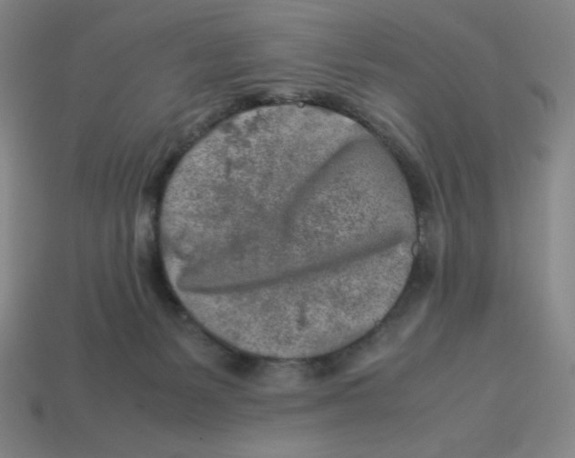 X0000112750127200910011203