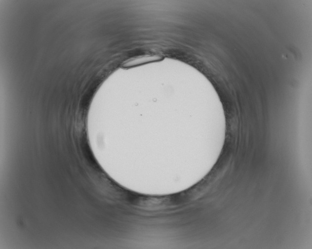 X0000112750129200910011203