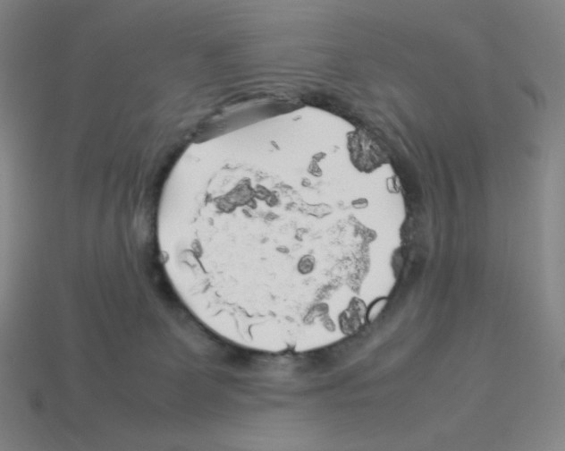 X0000112750131200910011203