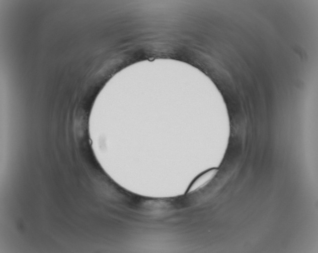 X0000112750133200910011203