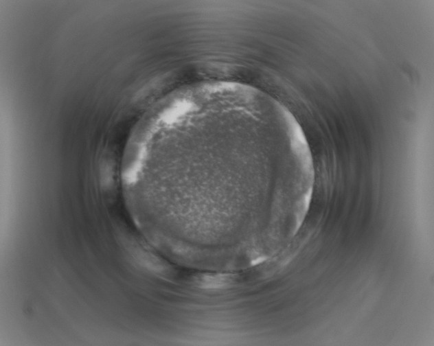 X0000112750134200910011203