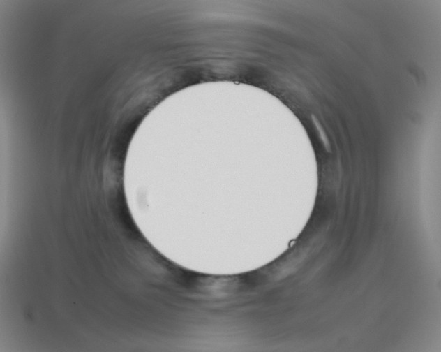 X0000112750135200910011203