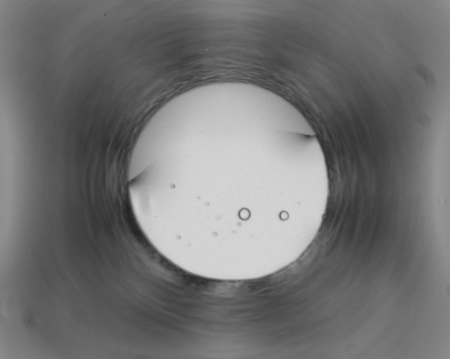 X0000112750136200910011203