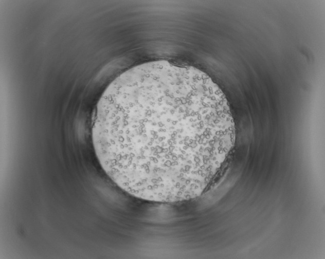 X0000112750140200910011203