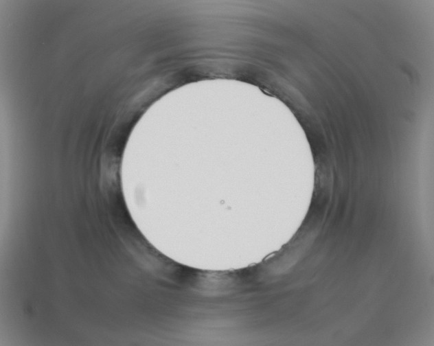 X0000112750141200910011203