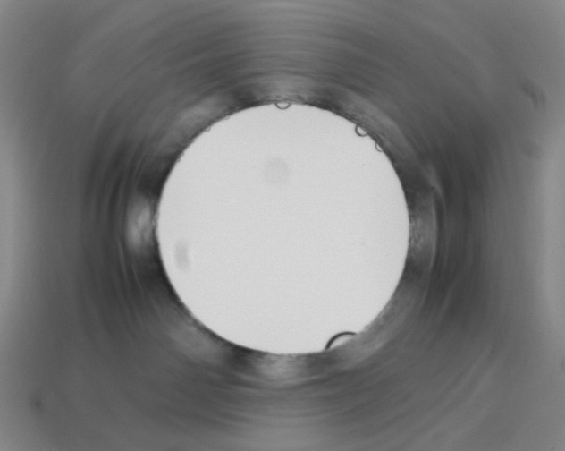 X0000112750142200910011203