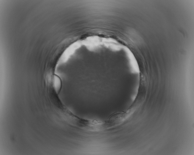 X0000112750143200910011203