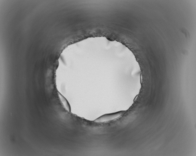 X0000112750144200910011203