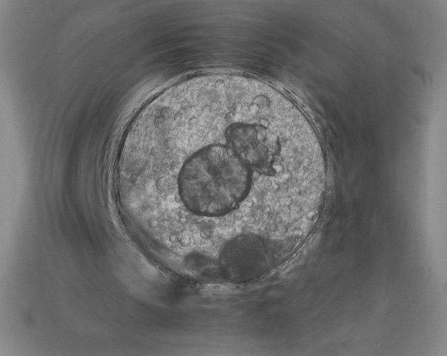 X0000112750145200910011202