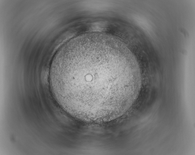 X0000112750146200910011202