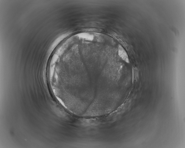 X0000112750147200910011202