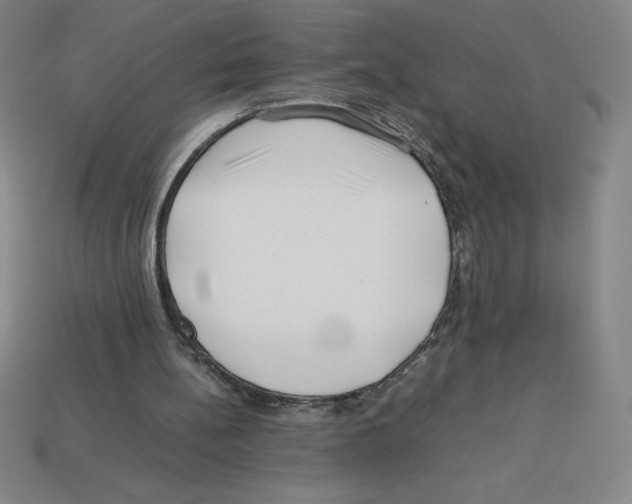 X0000112750148200910011202