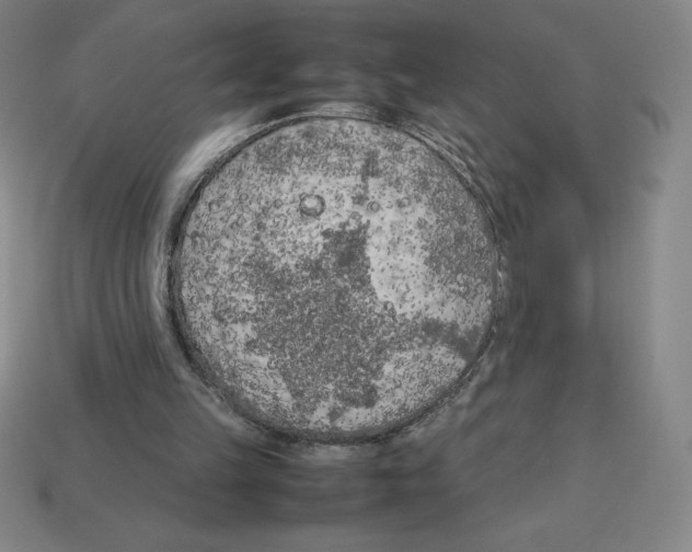 X0000112750149200910011202