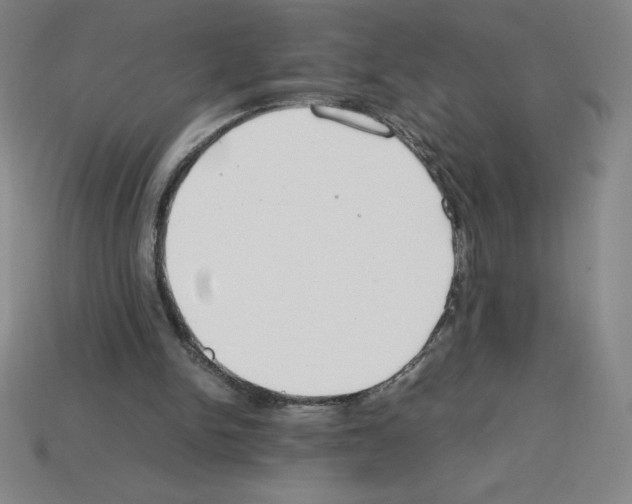 X0000112750150200910011202