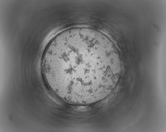 X0000112750151200910011202