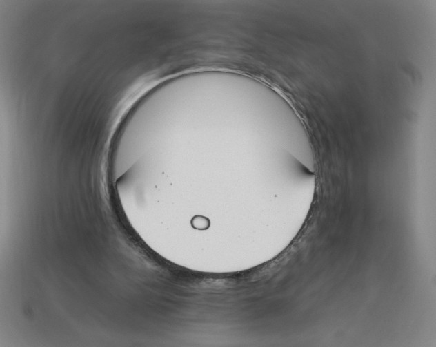 X0000112750152200910011202