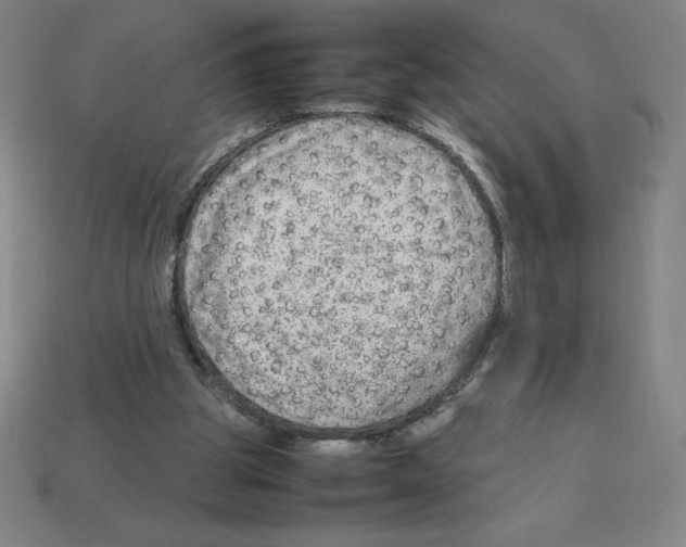 X0000112750153200910011202