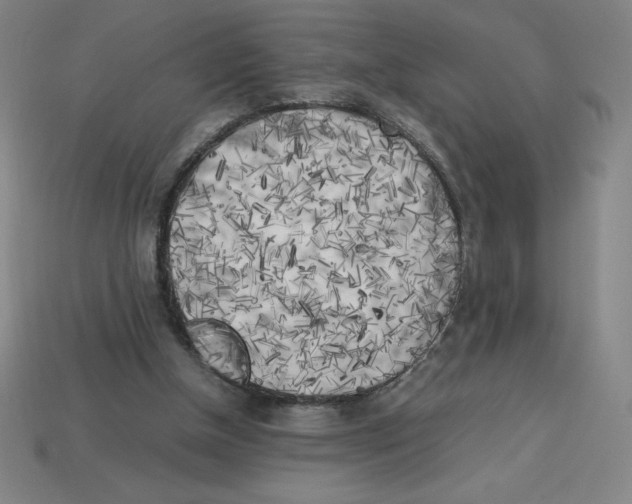 X0000112750154200910011202