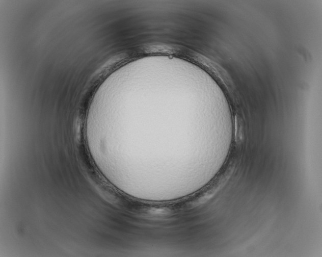 X0000112750157200910011202