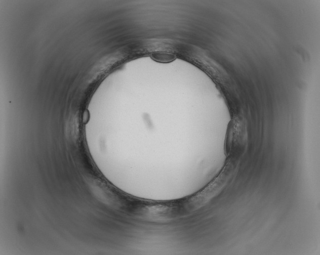 X0000112750158200910011202