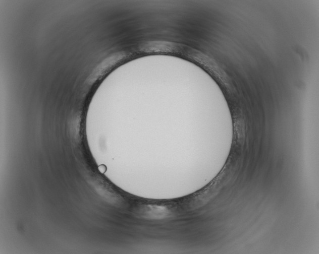 X0000112750159200910011202