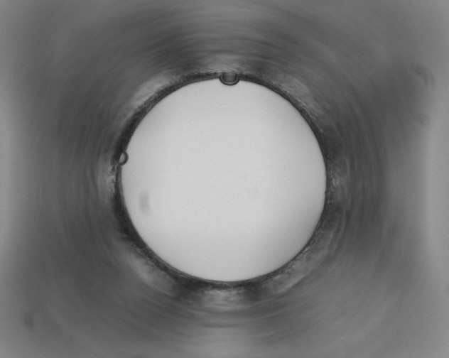 X0000112750160200910011202