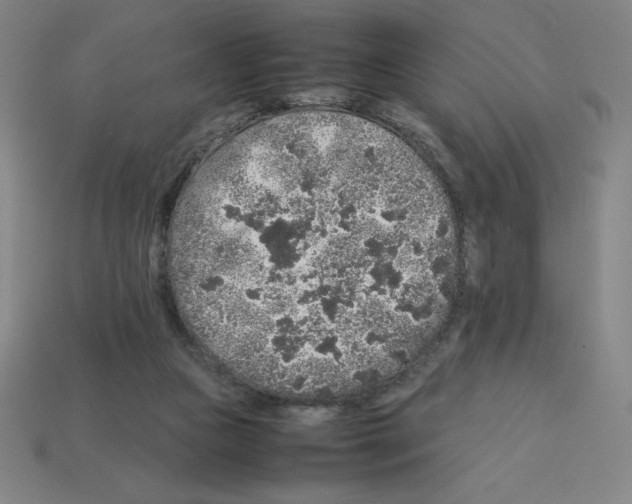 X0000112750161200910011202