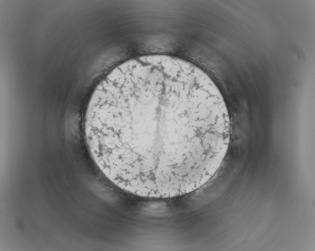 X0000112750162200910011202