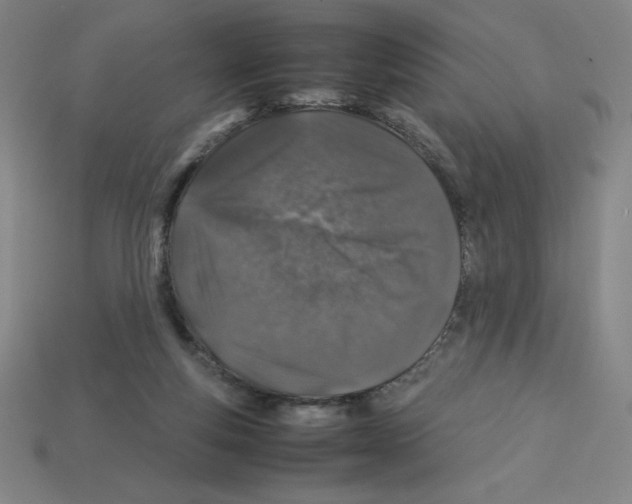 X0000112750163200910011202