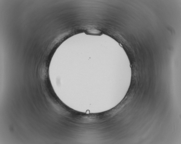 X0000112750164200910011202