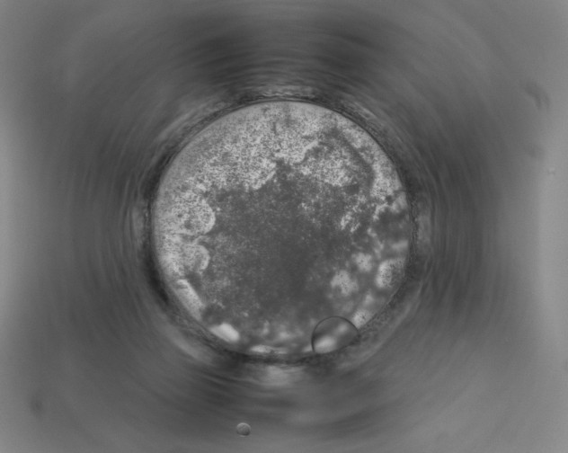 X0000112750165200910011202