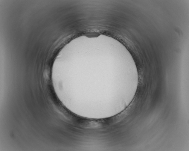 X0000112750166200910011202