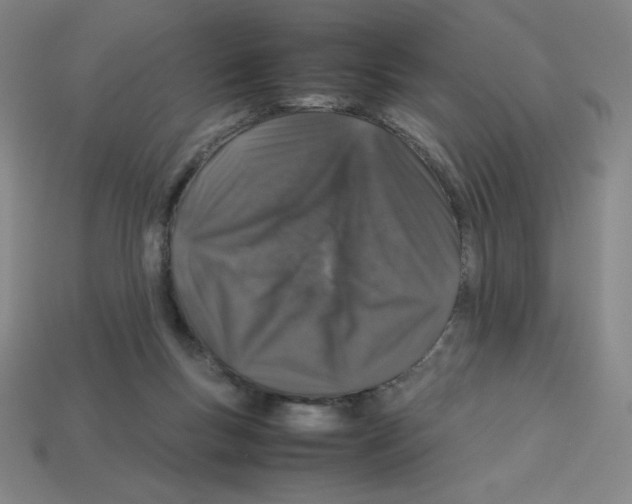 X0000112750167200910011202