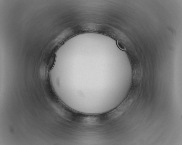 X0000112750168200910011202