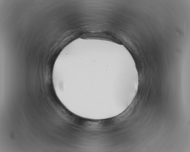 X0000112750170200910011202