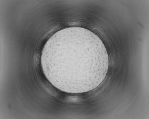 X0000112750171200910011202