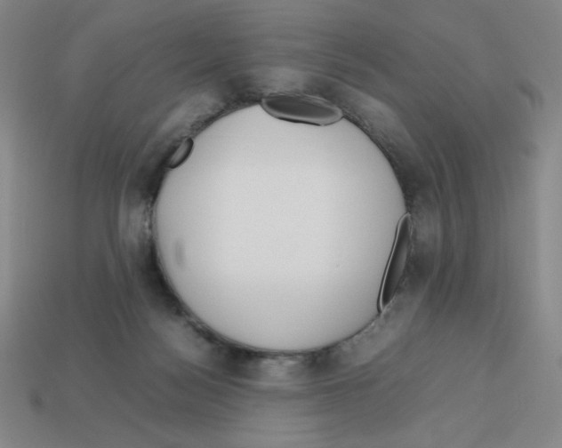 X0000112750172200910011202