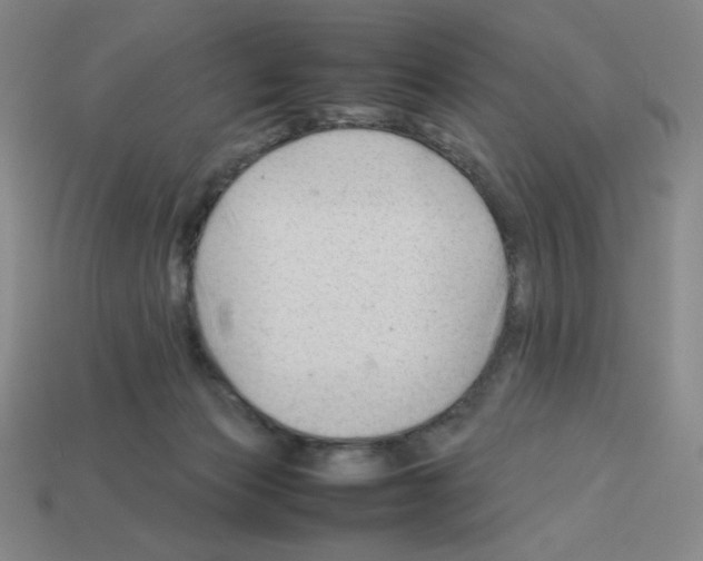 X0000112750173200910011202