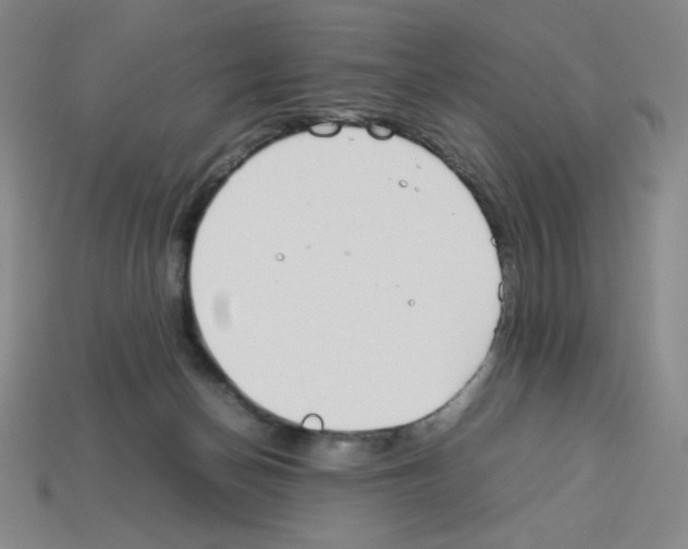 X0000112750174200910011202