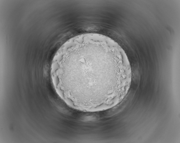 X0000112750175200910011202