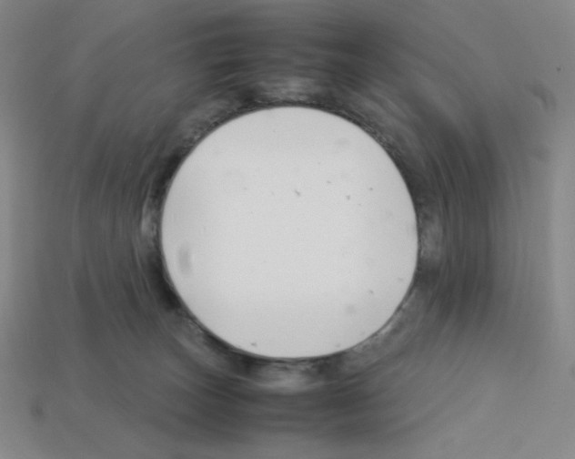 X0000112750179200910011202