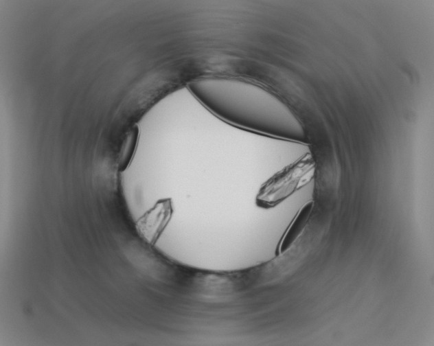 X0000112750180200910011202