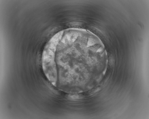 X0000112750181200910011202