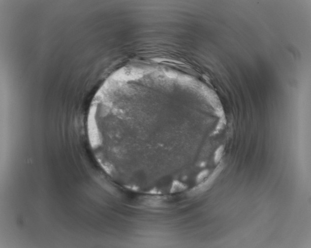 X0000112750182200910011202