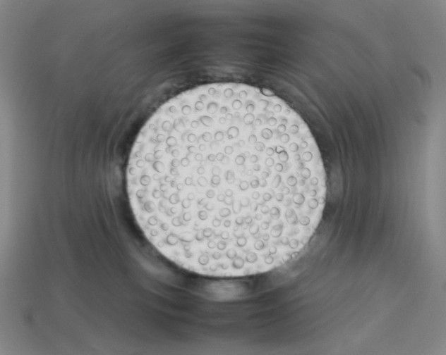 X0000112750183200910011202