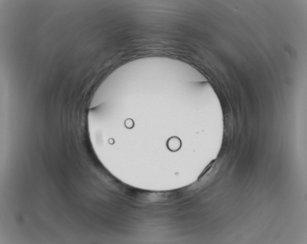 X0000112750184200910011202