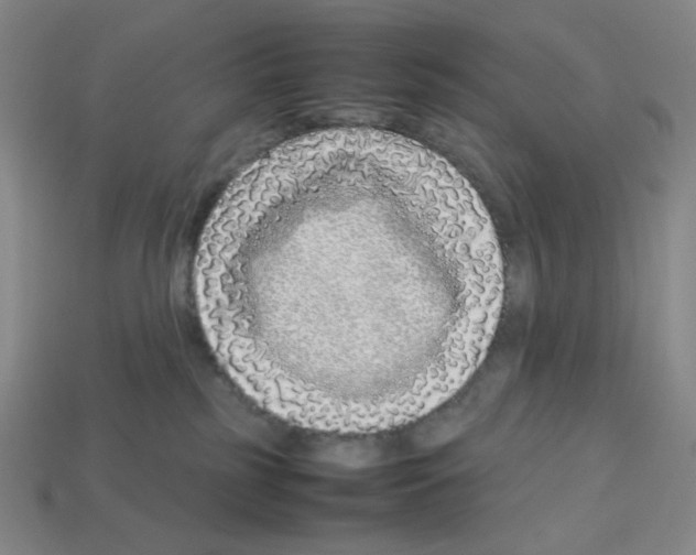 X0000112750185200910011202