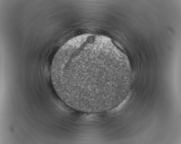 X0000112750186200910011202