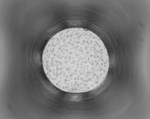 X0000112750187200910011202